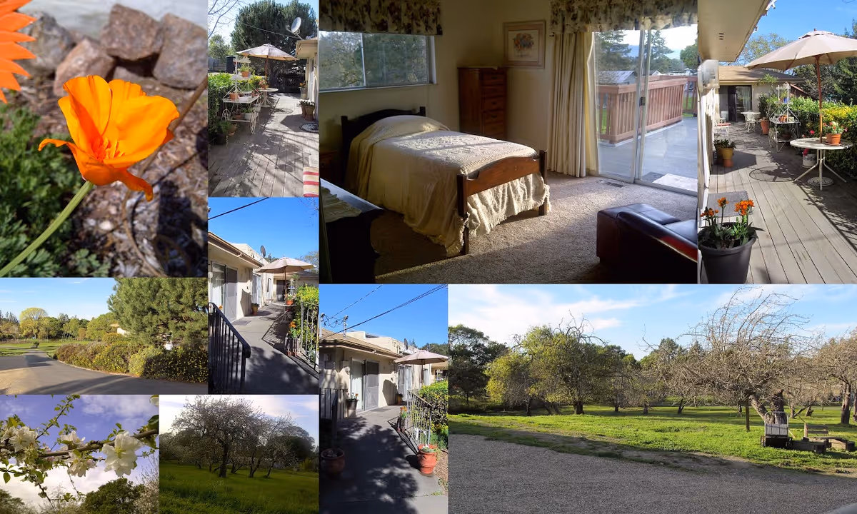 Collage of images showing a single bedroom with a bed, dresser, and sliding glass door leading to a wooden deck with potted plants and outdoor seating. Additional images include close-ups of orange and white flowers, a paved pathway with greenery, and a grassy orchard with trees under a blue sky.