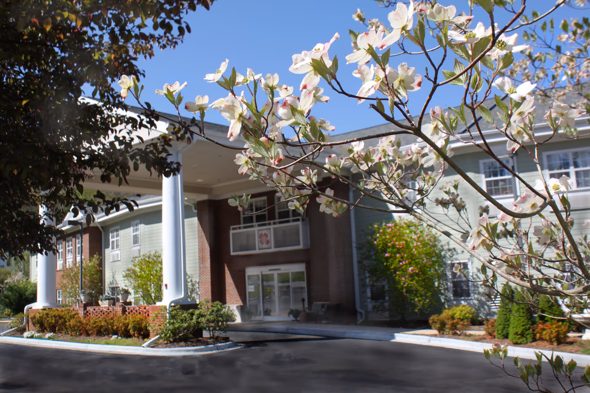 Exterior view of Mars Hill Manor senior living facility with blooming white flowers in the foreground, a covered entrance supported by white columns, and a clear blue sky.