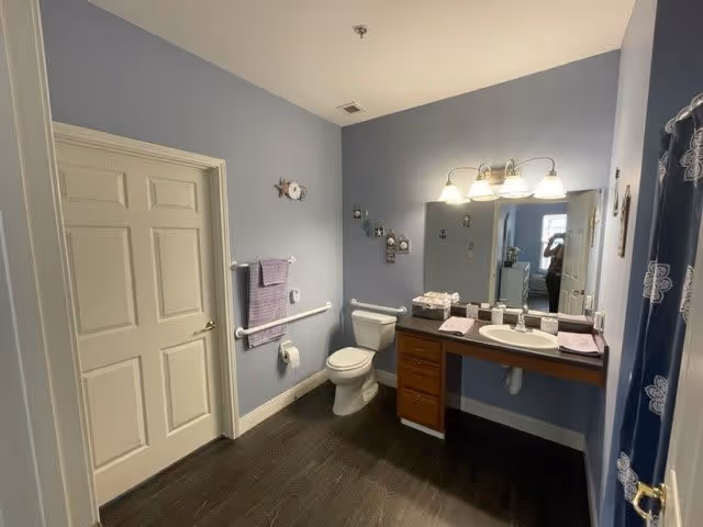 A clean and spacious bathroom with light blue walls and dark wood flooring. The room features a white toilet, a vanity with a sink and a large mirror above it, and a towel rack with a purple towel. There are decorative items on the wall and a shower curtain partially visible on the right side.