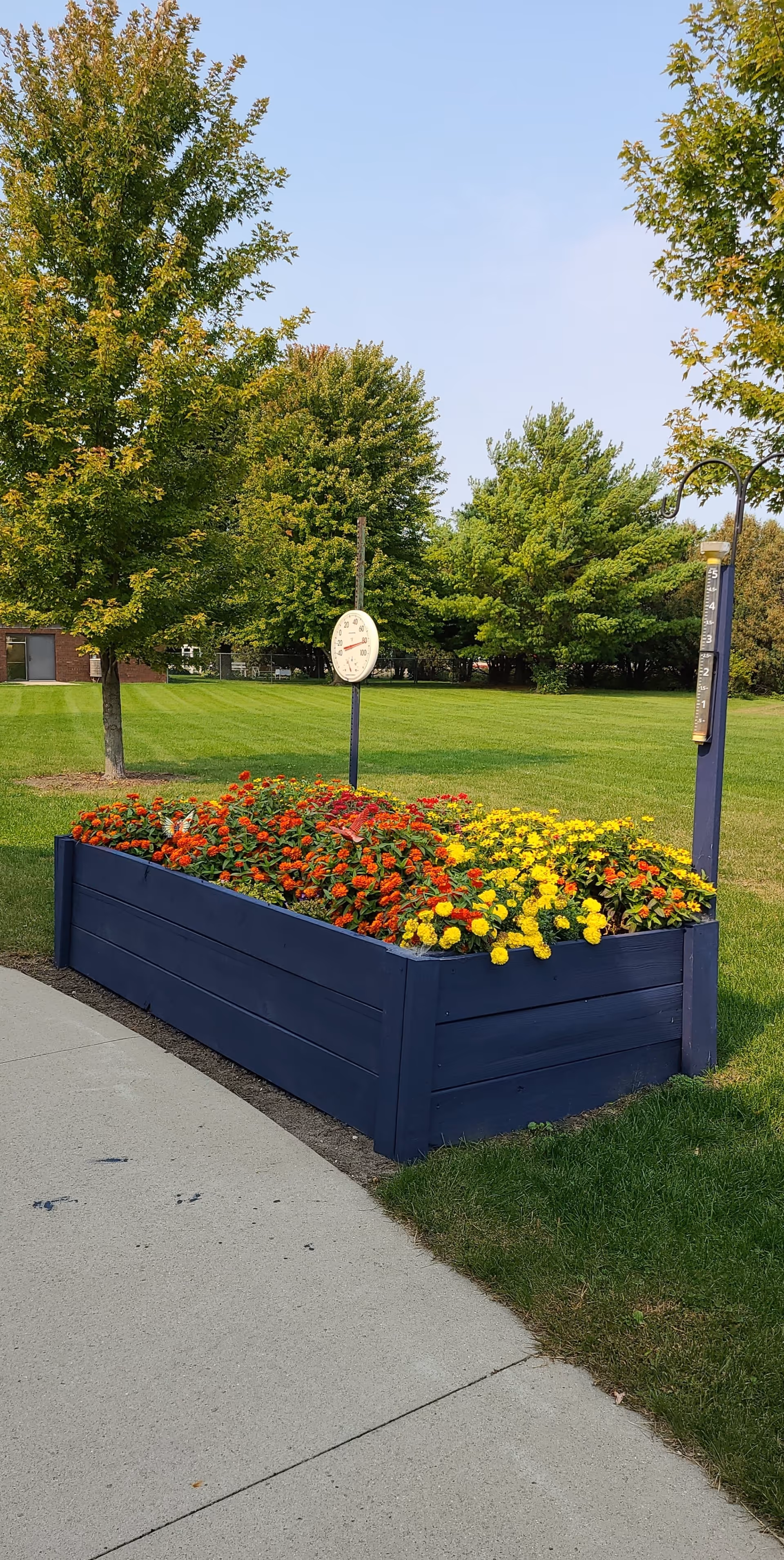 A raised garden bed filled with vibrant red and yellow flowers, situated next to a concrete pathway in a grassy outdoor area with several trees in the background under a clear sky.