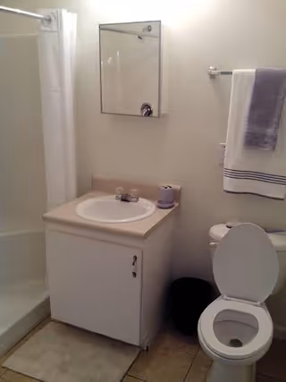 A small bathroom featuring a white sink with a beige countertop, a medicine cabinet with a mirror above the sink, a toilet with the lid open, a towel rack holding a white towel with a purple stripe and a purple hand towel, a black trash bin, a beige bath mat, and a shower with a white curtain.