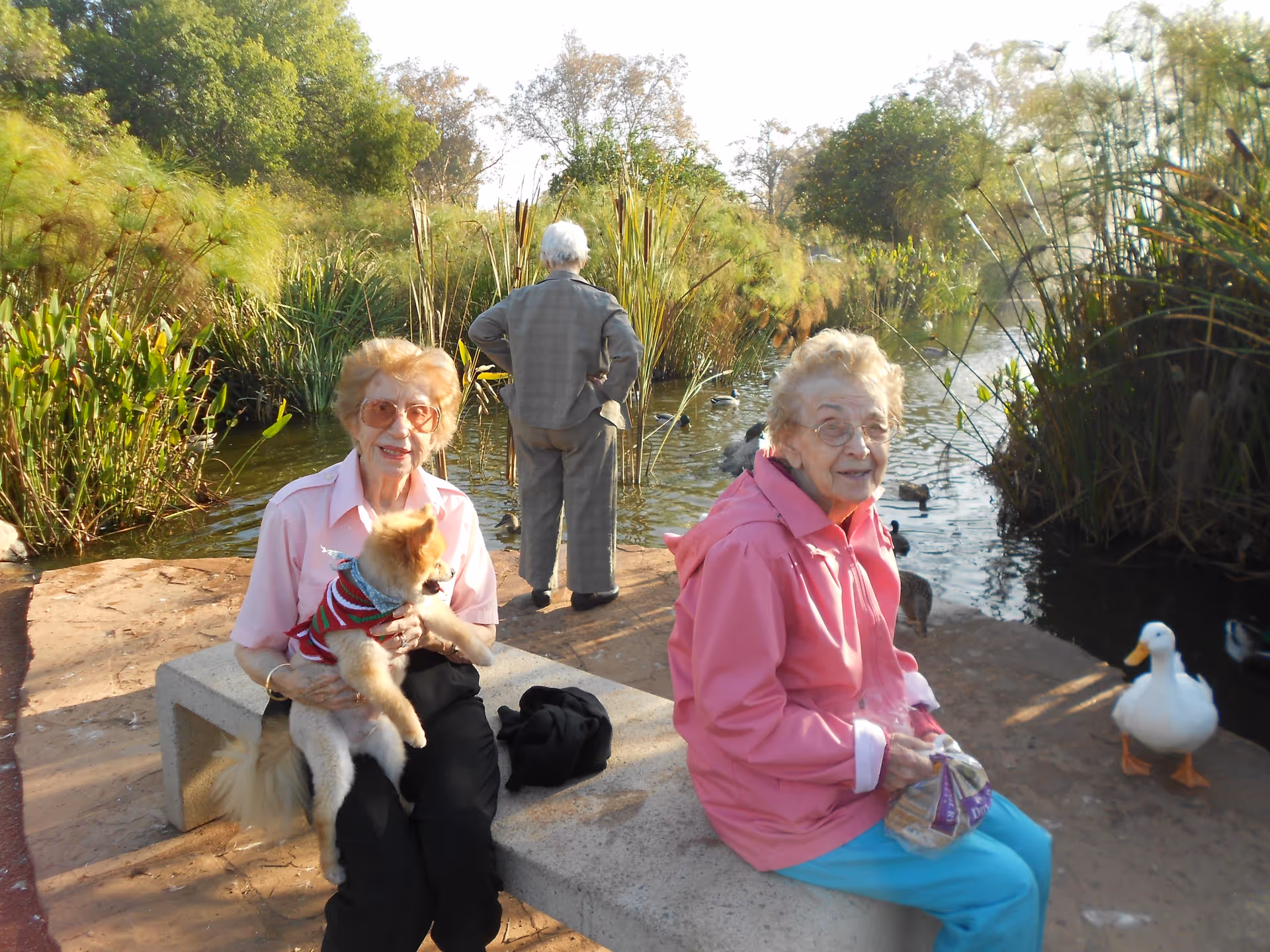 Two elderly women sitting on a stone bench near a pond surrounded by greenery. One woman is holding a small dog wearing a striped sweater, and the other woman is holding a bag of bread, likely to feed the ducks nearby. A third elderly person stands with their back to the camera, looking at the pond. Several ducks are visible near the water's edge.