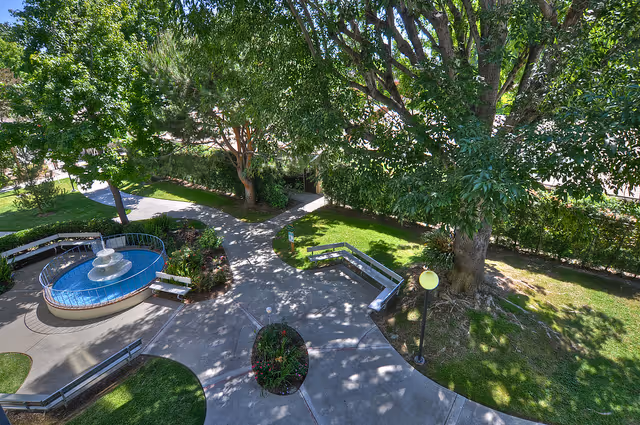 A peaceful outdoor garden area with a circular water fountain surrounded by benches, large leafy trees providing shade, paved walkways intersecting, and a lamp post near a large tree.