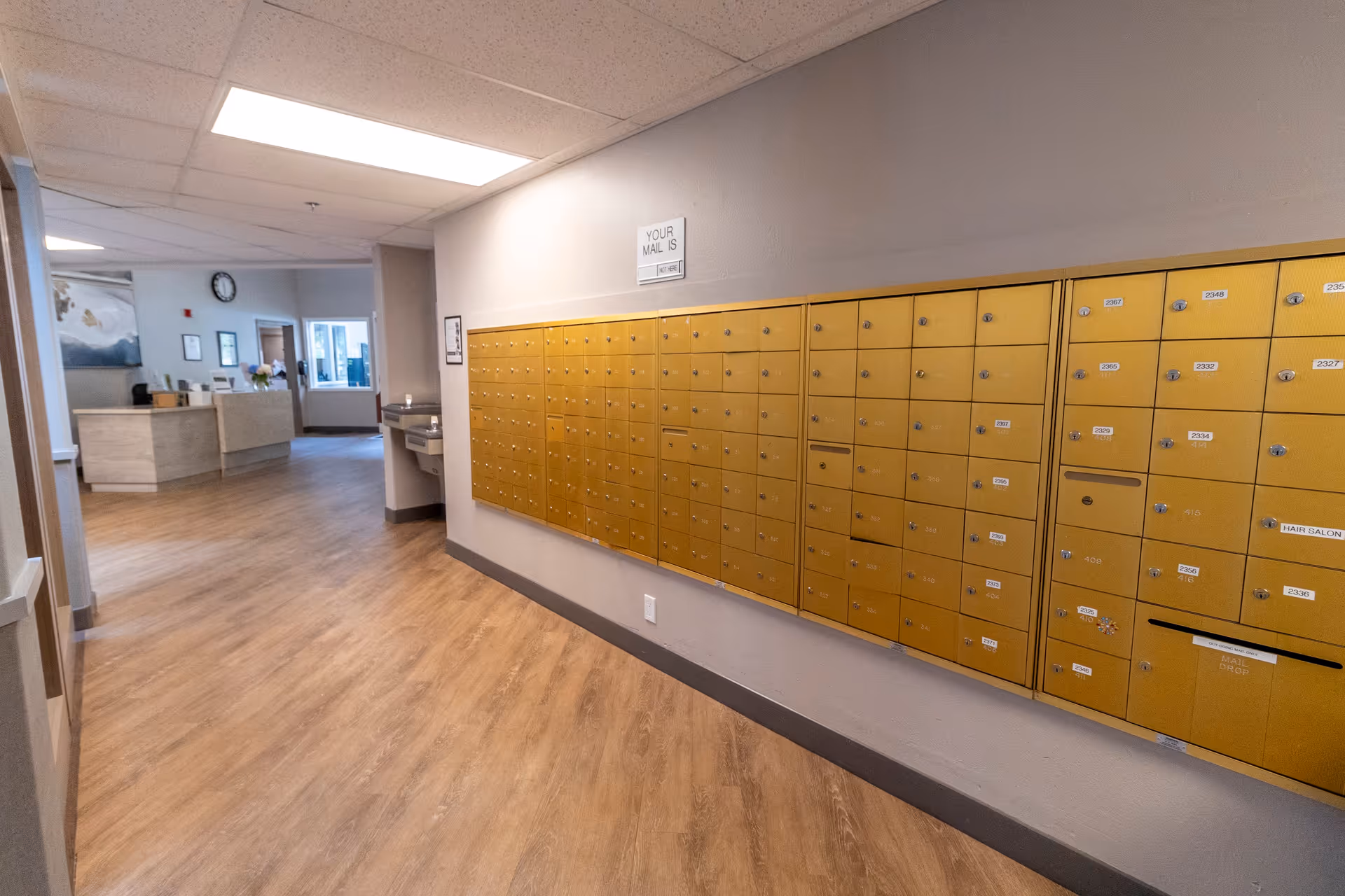 Interior hallway of a senior living facility with a wall of gold-colored mailboxes on the right side and a reception desk visible in the background. The floor is wood-patterned, and the walls are painted light gray. There is a water fountain mounted on the wall near the mailboxes.