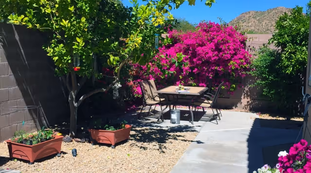 Sunlit backyard patio with a table and chairs, potted planters, a fruit tree and bright bougainvillea along a cinderblock wall.