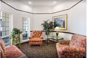 Cozy sitting area with patterned sofa and chairs arranged around a glass-top side table with a lamp, potted plants, and framed artwork.