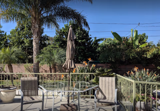 Outdoor patio area with a glass table, four chairs, a closed umbrella, and various tropical plants including palm trees and bird of paradise flowers under a clear blue sky.