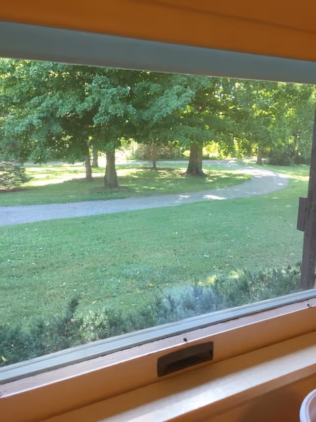 View through a window showing a green lawn with trees and a winding paved path outside on a sunny day.