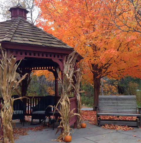 A wooden gazebo decorated with dried corn stalks and small pumpkins, surrounded by autumn foliage with vibrant orange leaves. There are two chairs inside the gazebo and a wooden bench nearby on a concrete surface covered with fallen leaves.