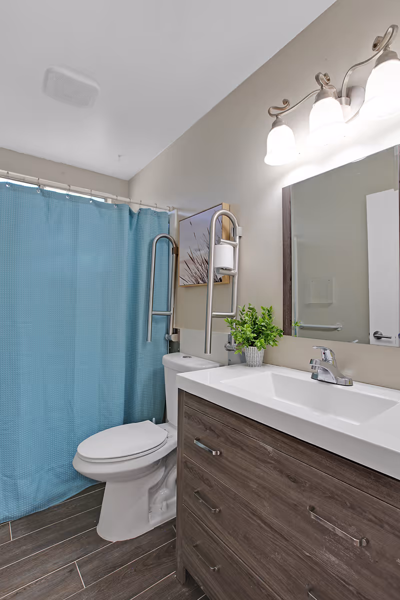 A clean and modern bathroom featuring a white toilet with safety grab bars, a wooden vanity with a white sink, a large mirror, a small green plant on the vanity, a blue shower curtain, and overhead lighting with three frosted glass shades.