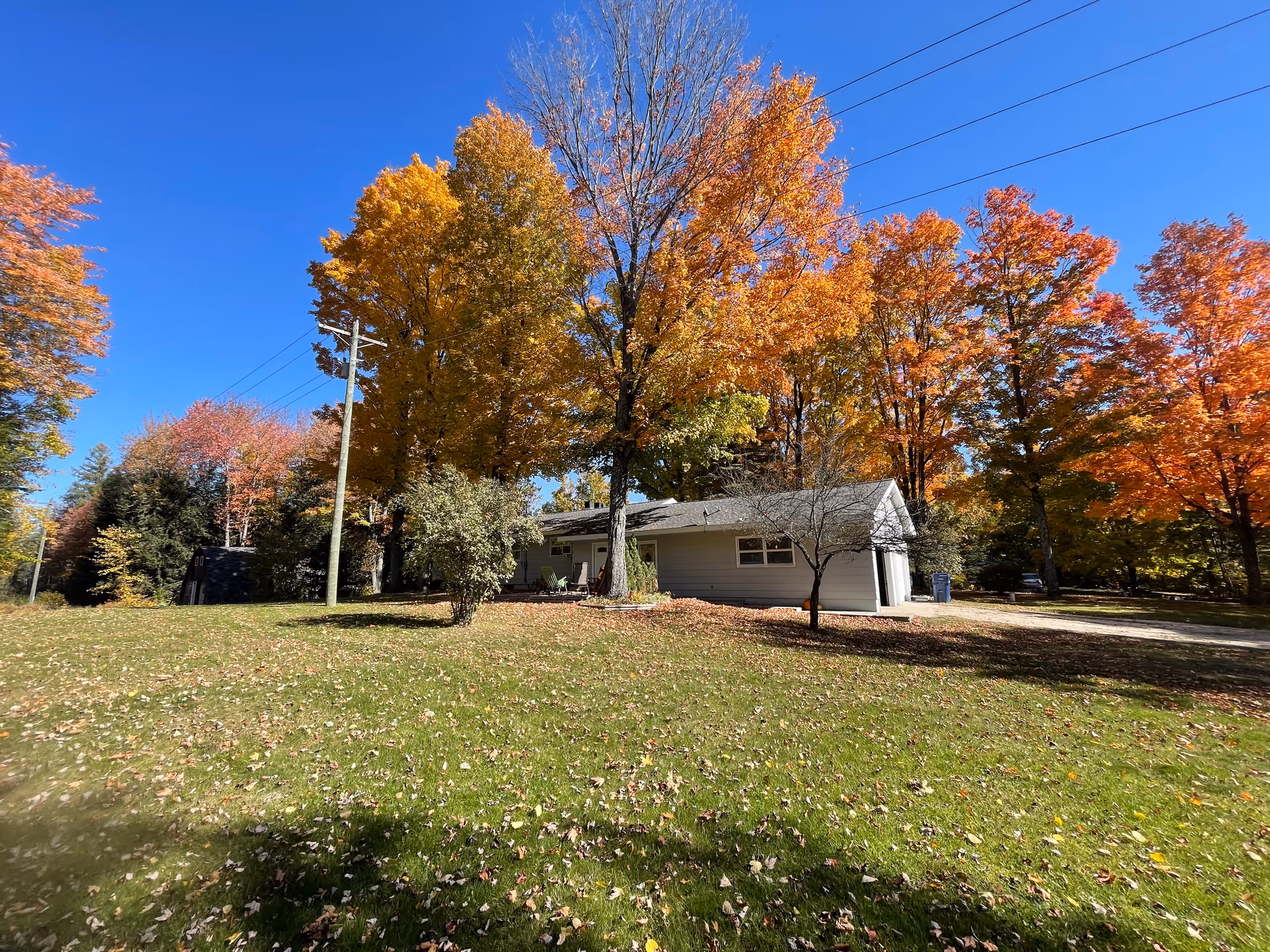 Single-story gray building with fall-colored trees and a grassy, leaf-strewn lawn.