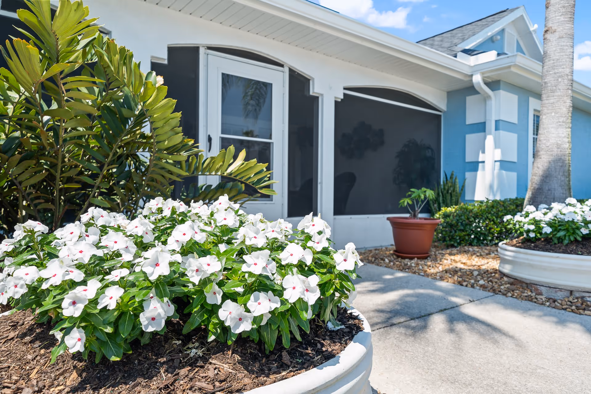 Outdoor view of a building entrance with a white door and large screened windows. The foreground features a landscaped area with white flowering plants, green shrubs, and a palm tree. The building exterior is painted blue with white trim under a partly cloudy sky.
