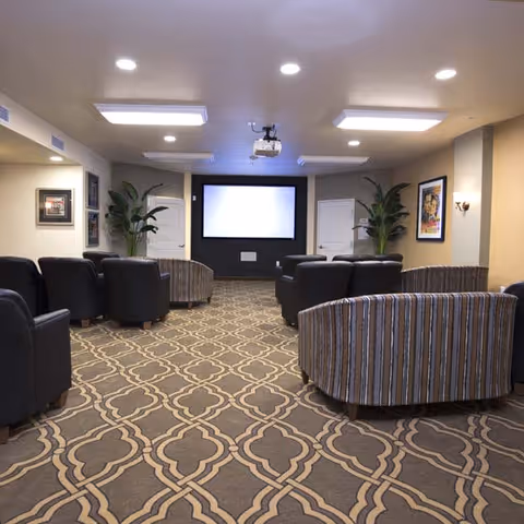 A cozy media room with patterned carpet, several black leather armchairs and striped upholstered chairs arranged facing a large projector screen on the far wall. The room has recessed lighting, two potted plants, framed artwork on the walls, and a ceiling-mounted projector.