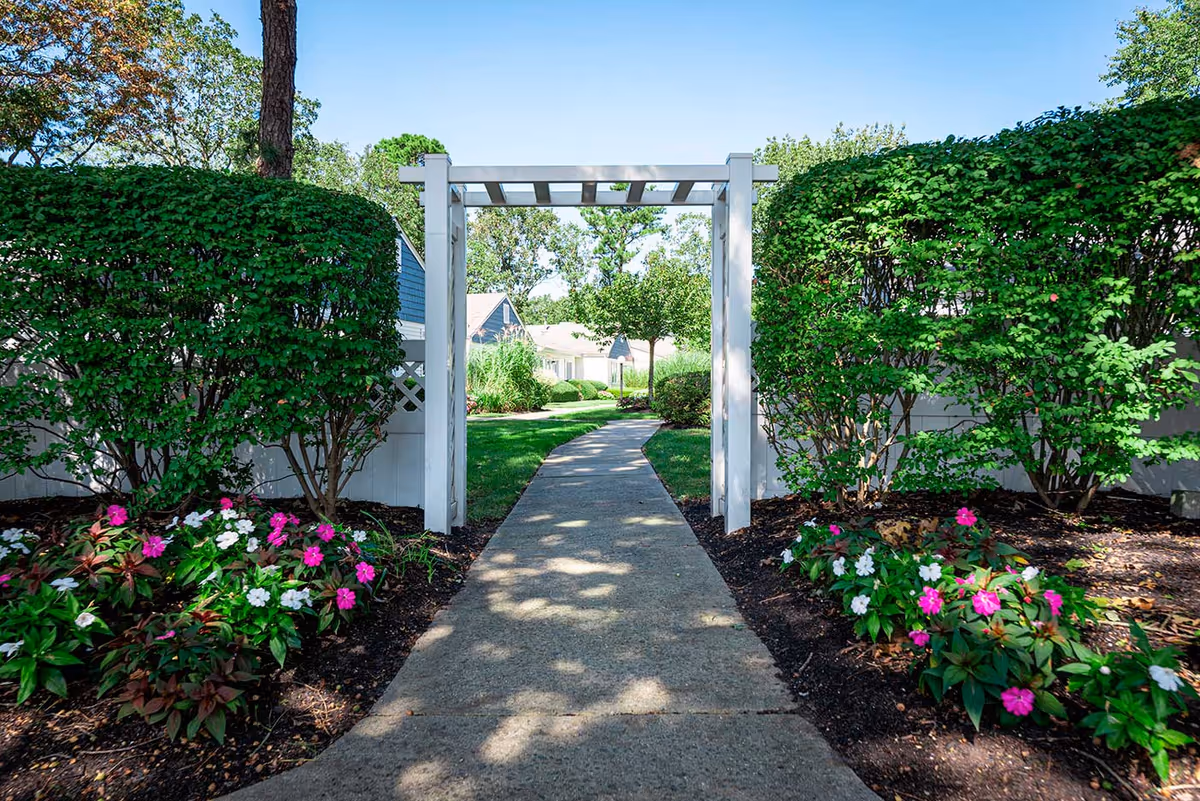 A concrete pathway leading through a white wooden pergola surrounded by green bushes and colorful flowers, with trees and residential buildings visible in the background under a clear sky.