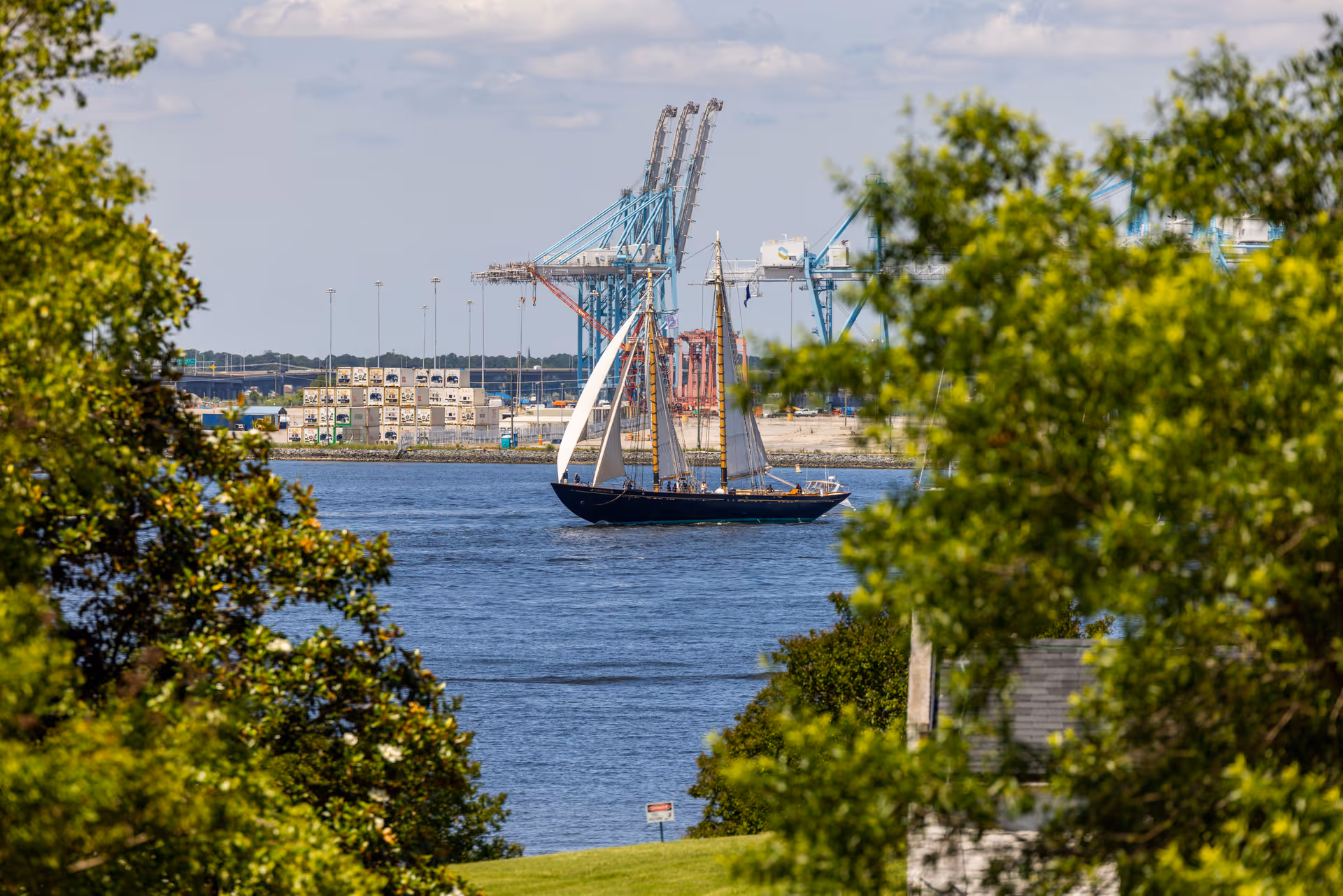 A sailboat with white sails on a body of water, framed by green trees in the foreground. In the background, there are industrial cranes and stacked containers at a port under a partly cloudy sky.