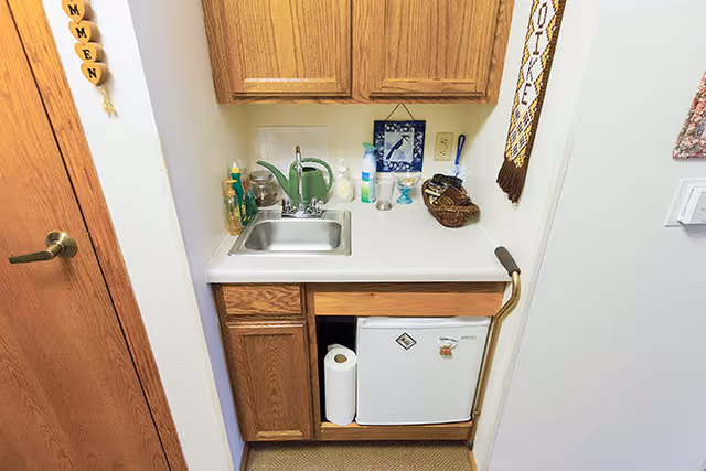 Small kitchenette area with a stainless steel sink, wooden cabinets above and below the counter, a mini refrigerator, a paper towel roll, and various cleaning supplies on the countertop. A wooden door is visible to the left and a grab bar is mounted on the right side of the counter.