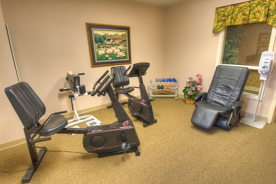 A small exercise room with two stationary exercise bikes, a rack of dumbbells, a black leather recliner chair, a basket of pink flowers, a wall-mounted hand sanitizer dispenser, and a framed painting of sheep on a green landscape hanging on the wall.