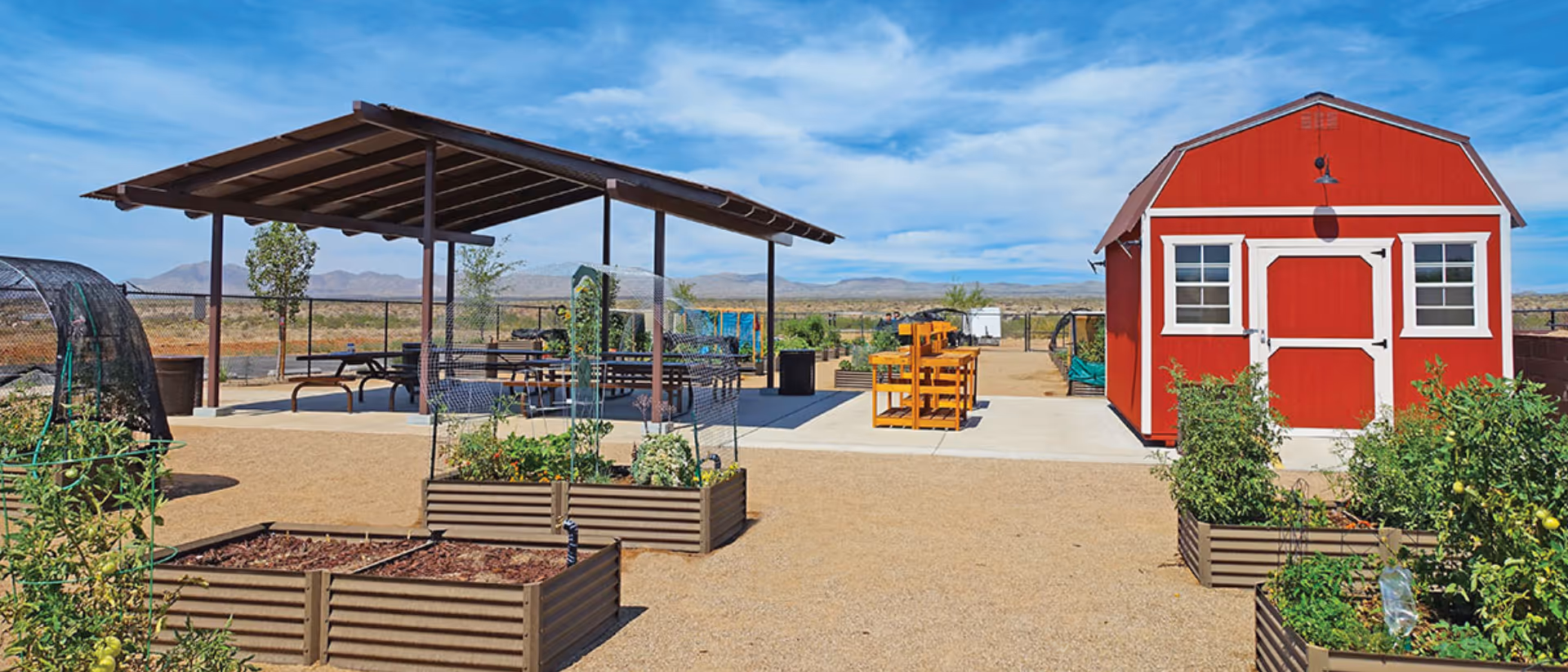 Outdoor garden area with raised planting beds containing various plants and vegetables, a red barn-style shed, a covered picnic area with tables and benches, and a clear blue sky with mountains in the background.