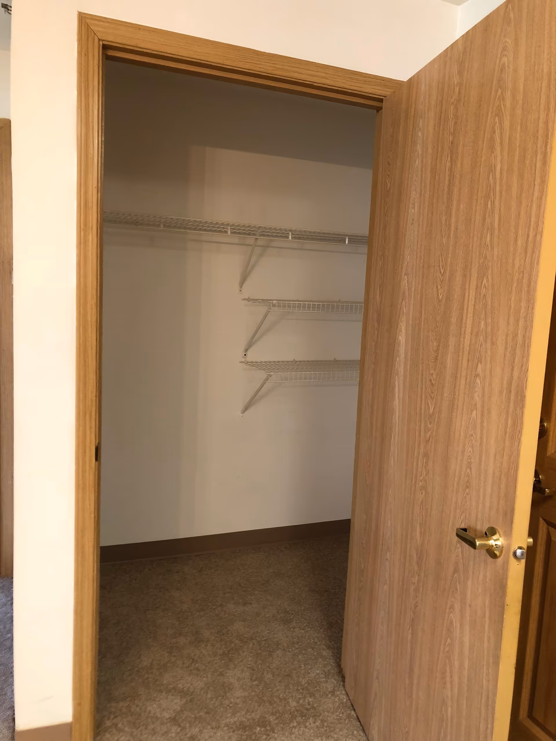 An empty closet with beige carpet flooring and white walls. The closet has three white wire shelves mounted on the wall. The closet door is wooden with a brass handle, partially open.