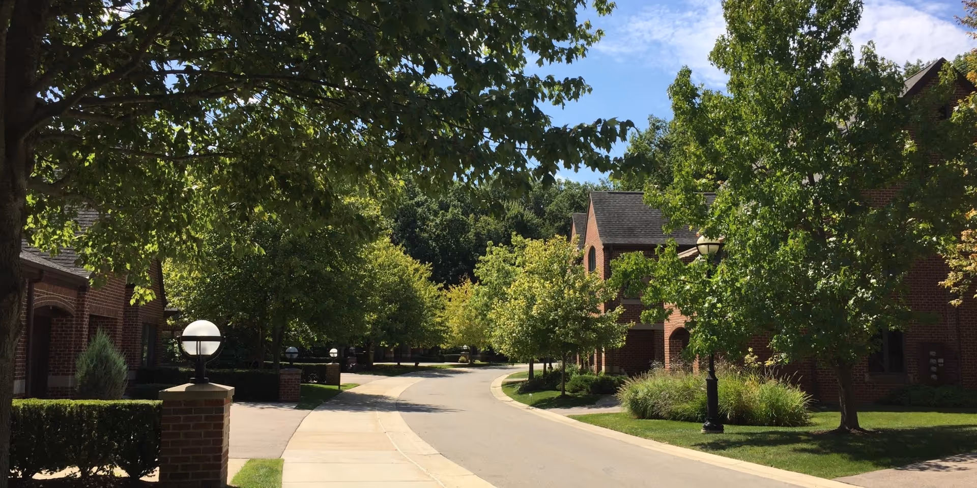 Tree-lined driveway flanked by brick buildings, lamp posts, and landscaped lawns on a sunny day.