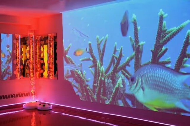 A room with a large wall projection of an underwater scene featuring coral and fish. The room is illuminated with pink and purple LED strip lights along the floor and has a decorative mirror with circular patterns on the left wall.