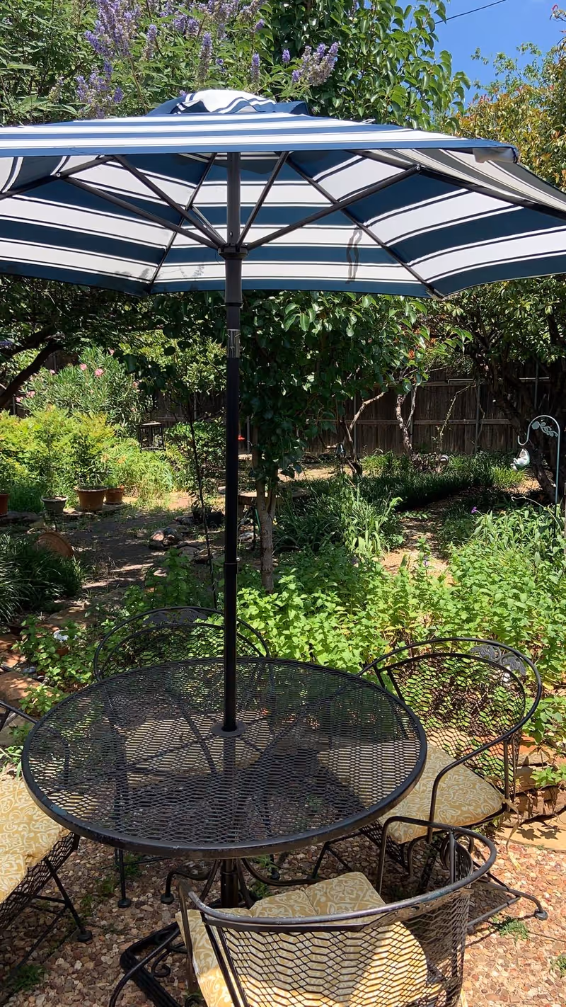 Outdoor garden area with a round metal table and four matching chairs with yellow cushions. A large striped umbrella is open above the table providing shade. The garden is lush with various green plants, trees, and potted plants, and a wooden fence is visible in the background under a clear blue sky.