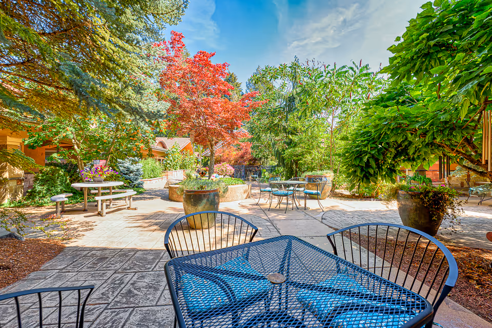 Outdoor patio area with metal tables and chairs surrounded by lush greenery, colorful trees, and large potted plants under a clear blue sky.