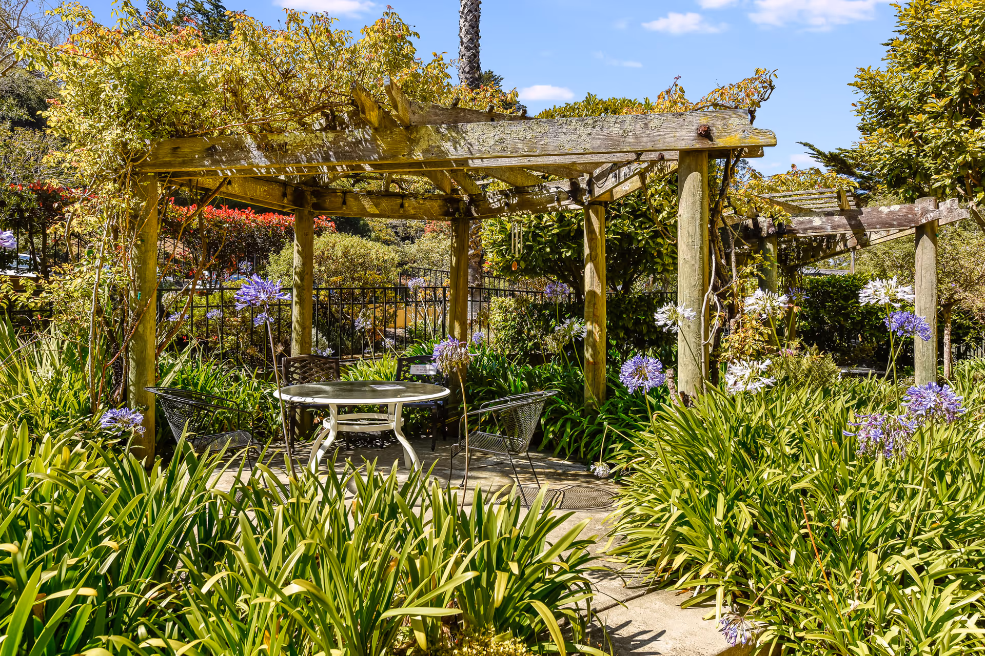 Outdoor garden area with a wooden pergola covered in climbing plants, surrounded by lush green foliage and purple flowers. Under the pergola is a round glass table with four metal chairs. The sky is clear and blue.