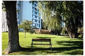A park-like grassy lawn with a bench between trees and a multi-story building in the background.