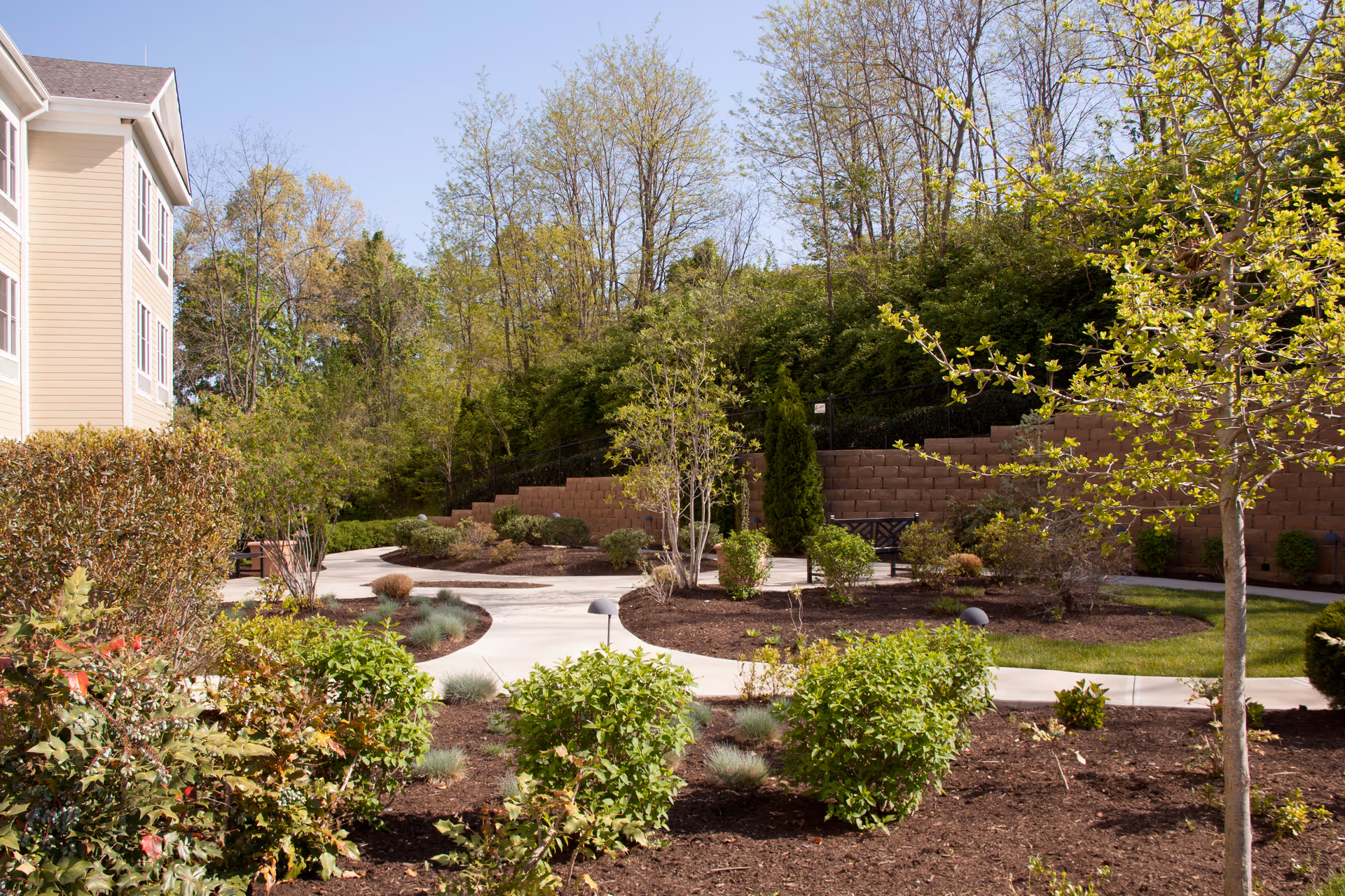 Outdoor garden area at Sunrise of Louisville with a winding concrete pathway, various green shrubs and trees, a bench, and a retaining wall with dense trees in the background under a clear blue sky.