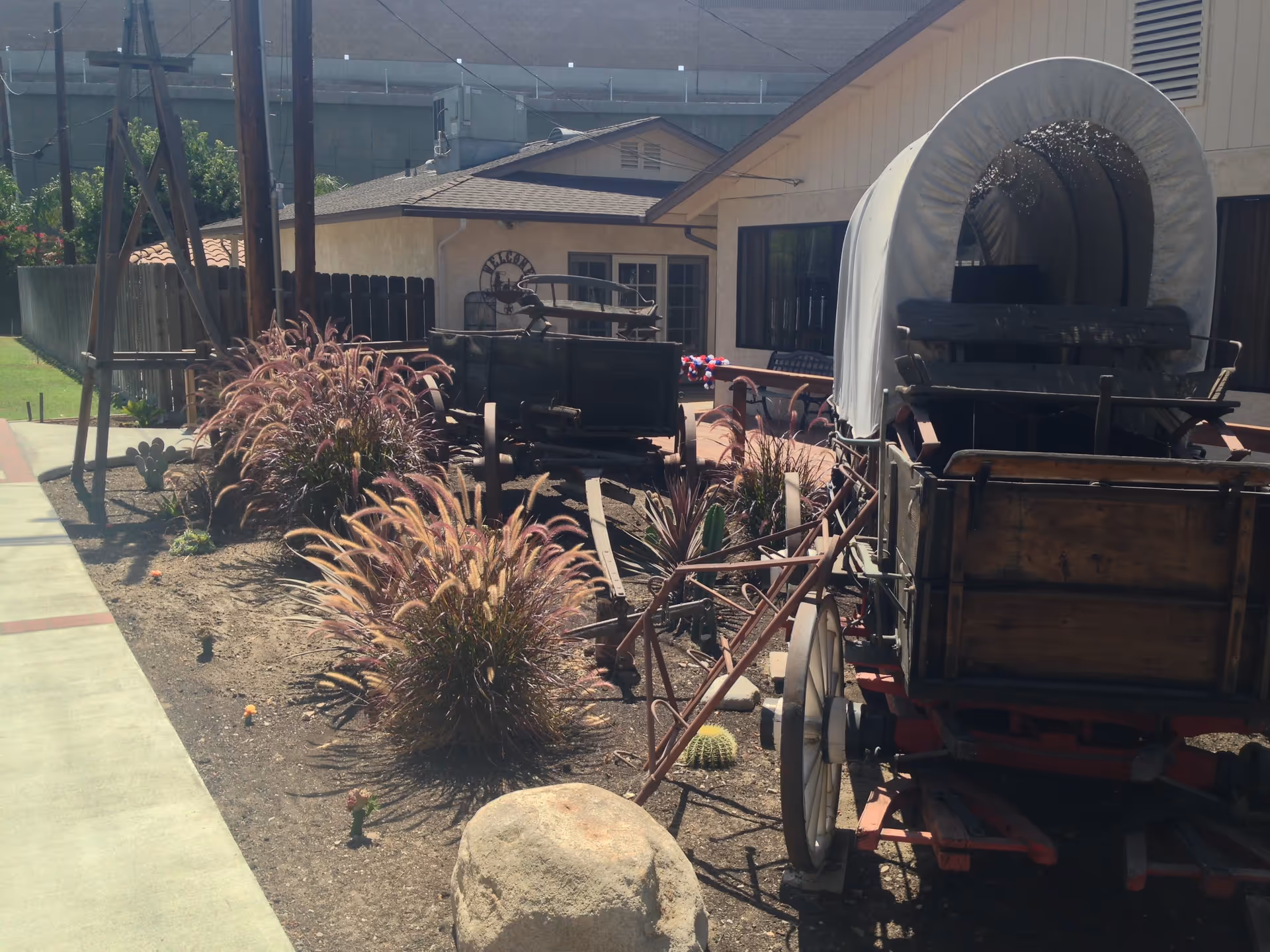 Outdoor area with two old-fashioned wooden wagons, one covered with a white canvas, surrounded by ornamental grasses and small cacti, next to a building with beige walls and a window.