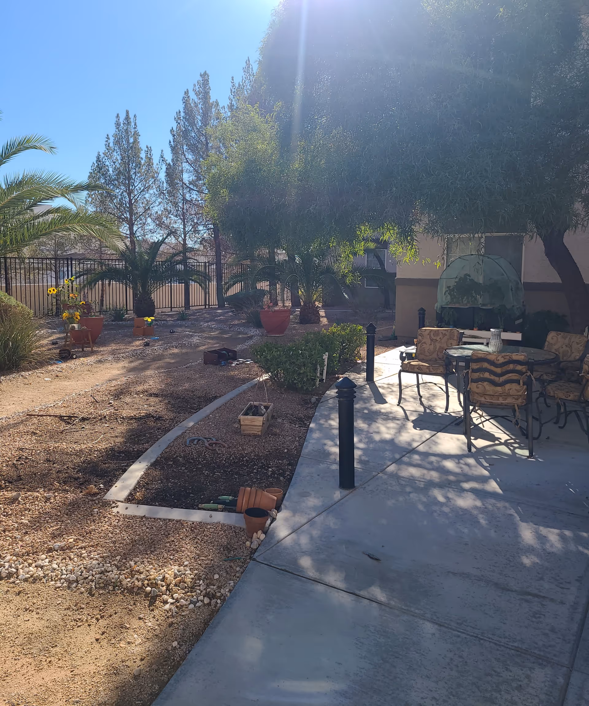 Outdoor patio area with a round glass table and four cushioned chairs on a concrete surface. Surrounding the patio are various plants, including palm trees and potted flowers, with a gravel and dirt garden area. The scene is sunlit with shadows from nearby trees.