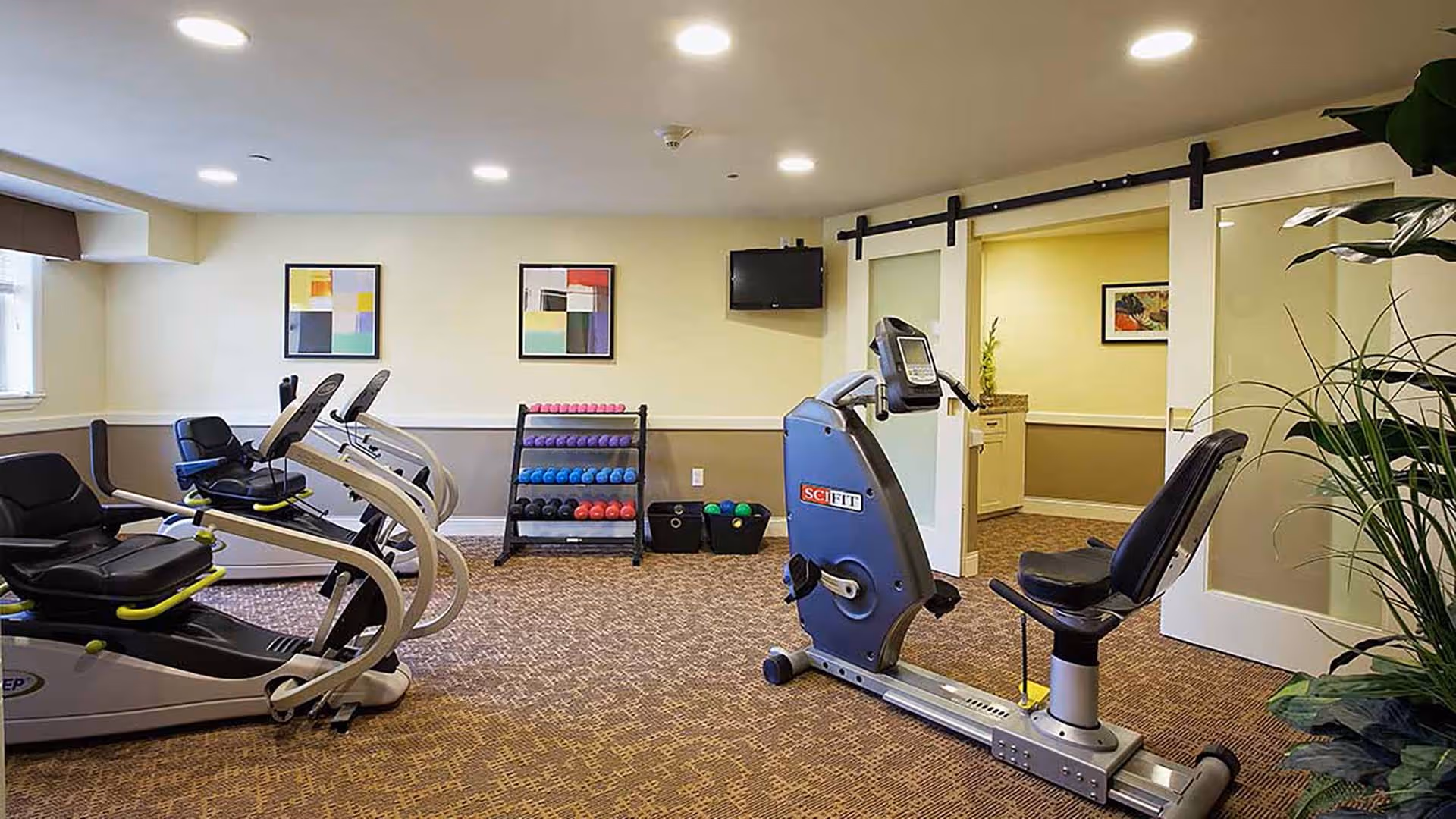 Well-lit interior fitness room with recumbent exercise bikes, a rack of dumbbells, a wall-mounted TV, and potted plants.