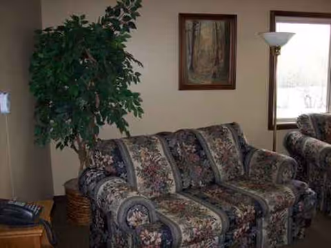Living room with floral-patterned sofas, a tall plant, painting, and floor lamp.