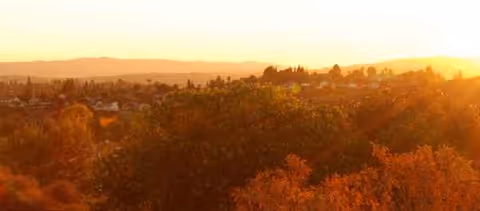 Orange sunset glows over treetops with a distant horizon.