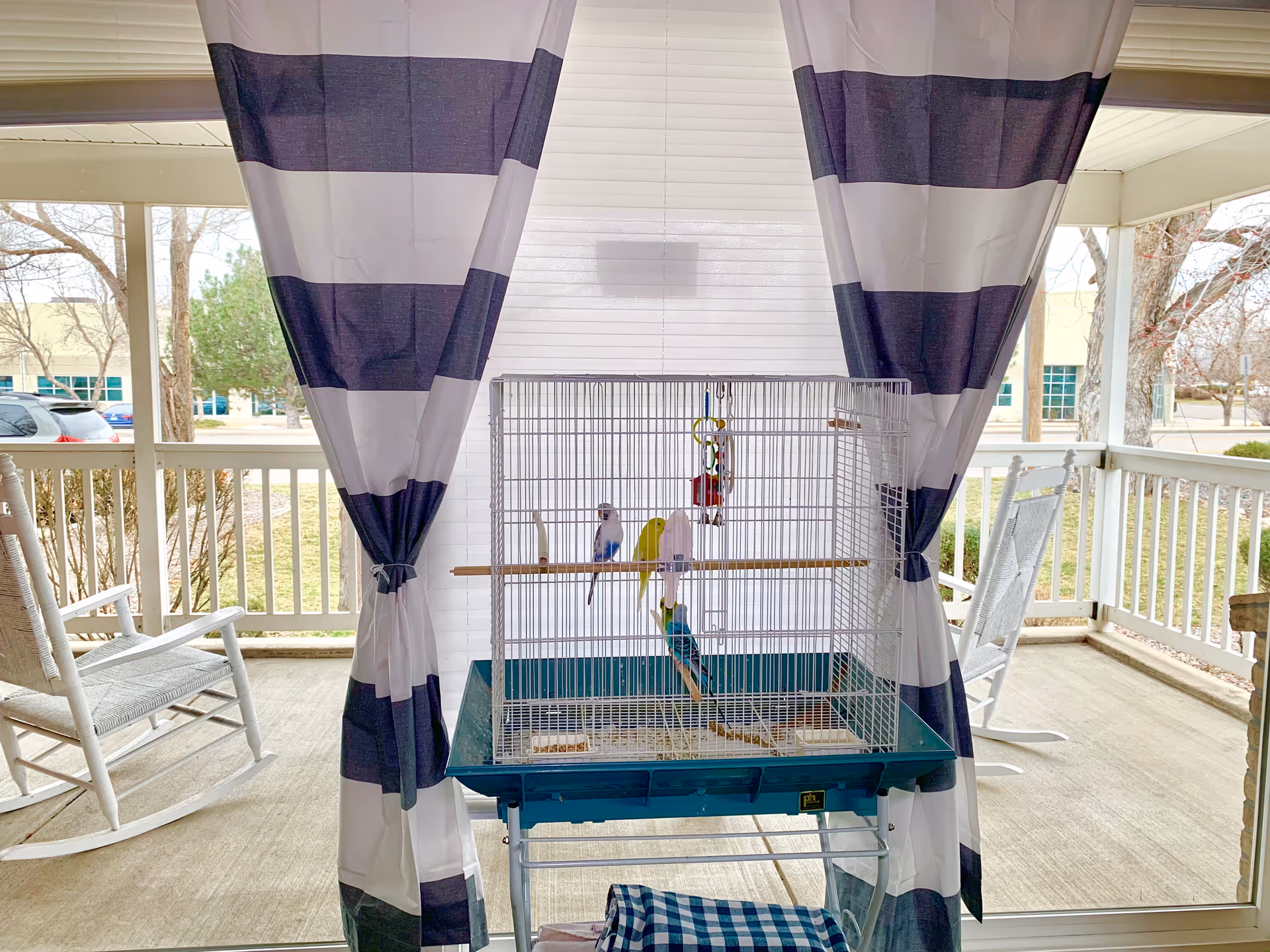 A birdcage with several colorful birds inside is placed on a stand in front of a large window with white blinds and black-and-white striped curtains. The setting appears to be a covered porch with white rocking chairs on either side and a view of trees and buildings outside.