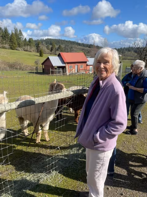 An elderly woman wearing a lavender jacket and white pants stands smiling next to a fenced area with alpacas. In the background, there are two other elderly people and a red barn with a gray roof under a blue sky with scattered clouds.