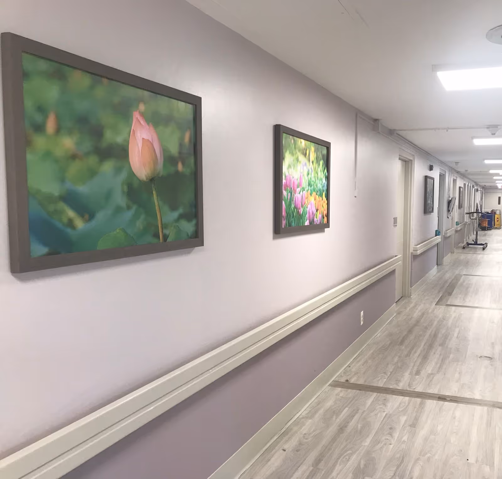 A long, well-lit hallway in a senior living facility with light purple walls and light wood flooring. The walls are decorated with framed pictures of flowers. Handrails run along the walls on both sides of the hallway. Several doors and utility carts are visible down the corridor.