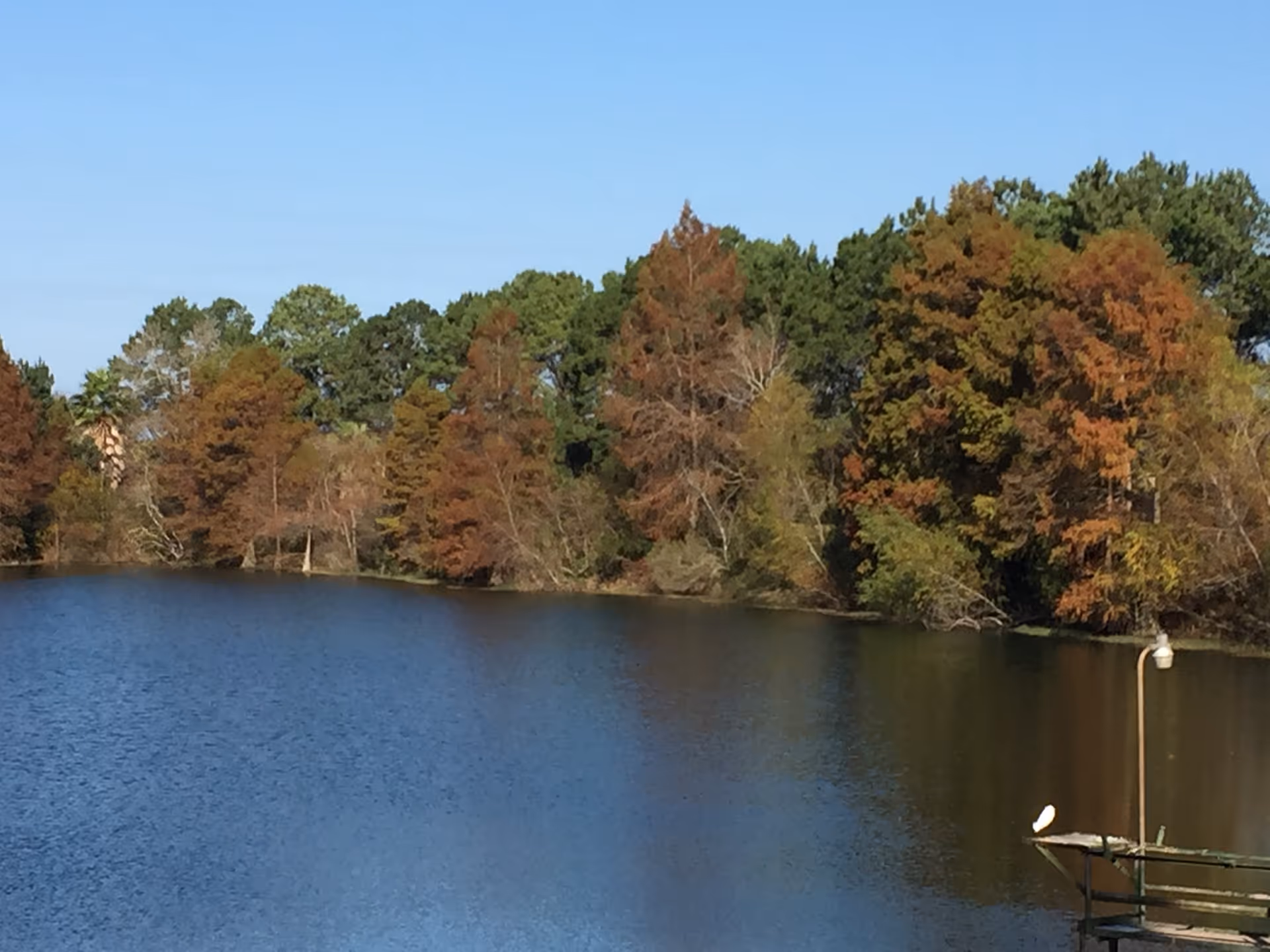 Calm lake bordered by trees with autumn foliage under a clear blue sky, with a small dock and lamp post visible at the lower right.