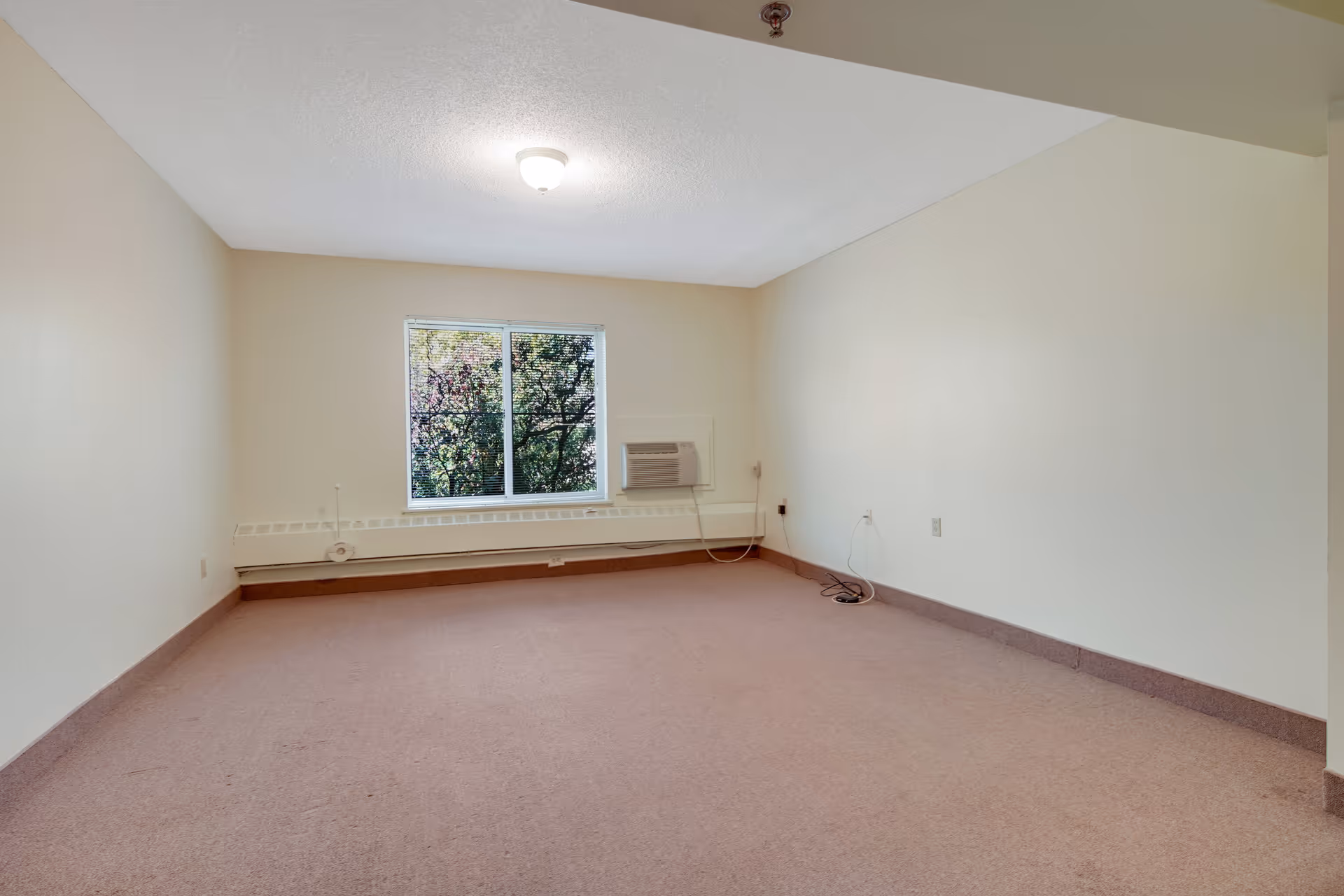 Empty room with beige walls and carpet, a window showing trees outside, a ceiling light fixture, and a wall-mounted air conditioning unit below the window.