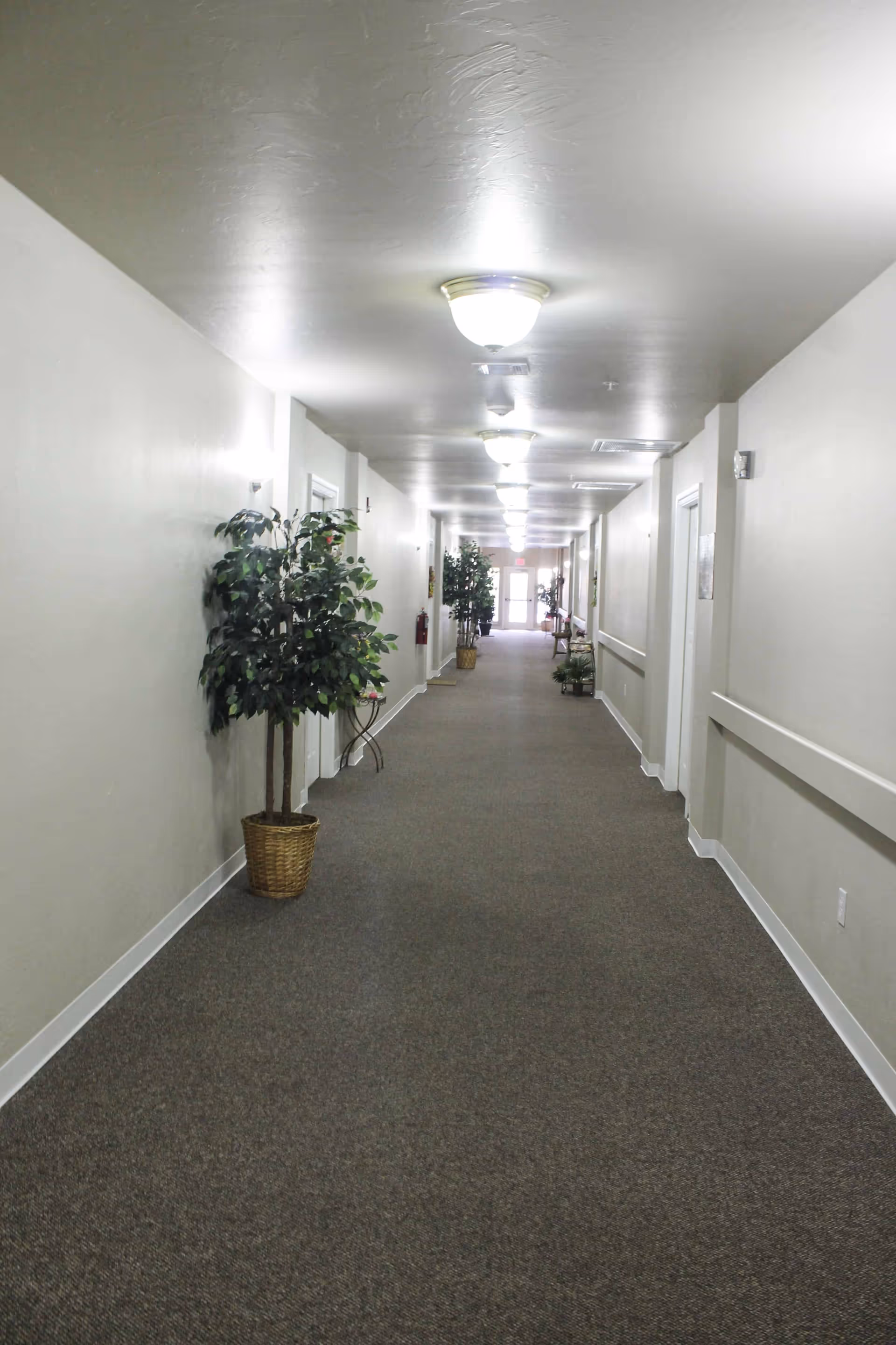 Long carpeted interior hallway with potted plants, overhead lights, and doors lining the sides leading to an exit.