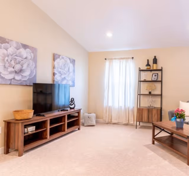 A bright living room with beige walls and carpet. The room features a wooden TV stand with a flat-screen television, decorative items, and two large floral paintings on the wall above it. A window with sheer white curtains allows natural light to fill the space. There is a tall black metal and wood shelving unit with decorative items, and a wooden coffee table with a small potted plant on it. Part of a gray sofa is visible on the right side.