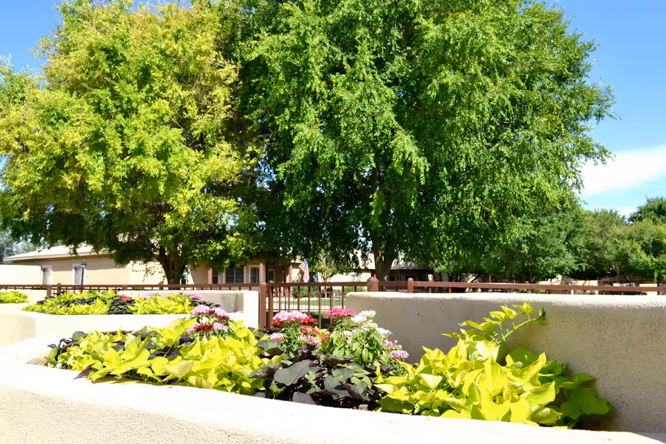 Raised concrete planters filled with flowering plants in front of a fenced courtyard and large leafy trees under a clear sky.
