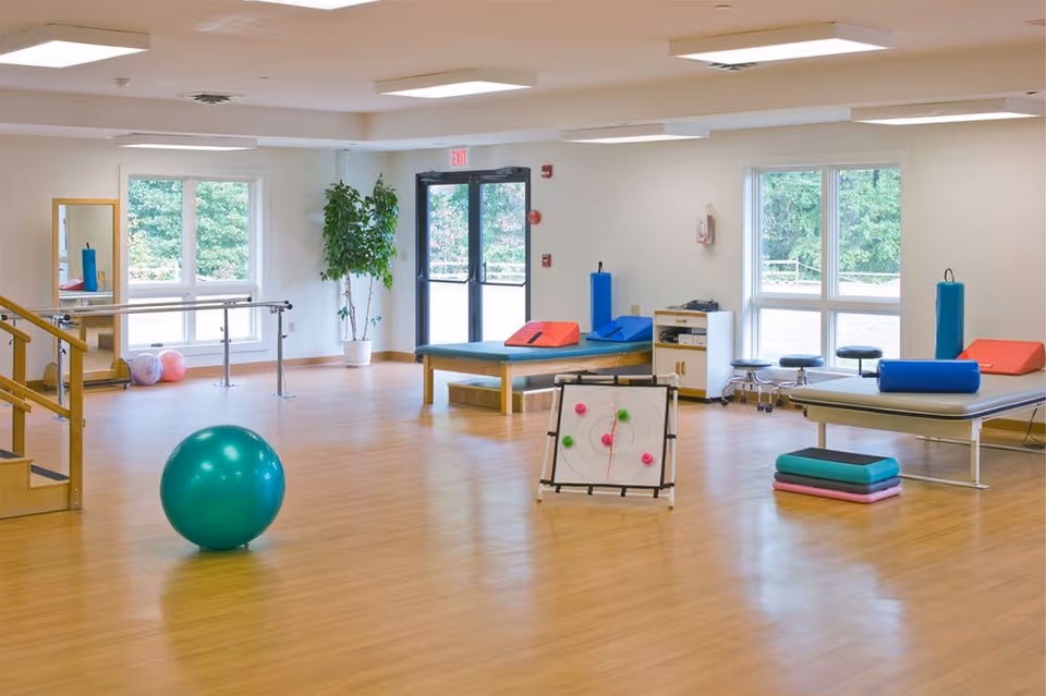 A spacious physical therapy room with wooden flooring, large windows letting in natural light, exercise equipment including a green exercise ball, parallel bars, therapy tables with cushions, a target board with colored markers, and a potted plant near the exit door.