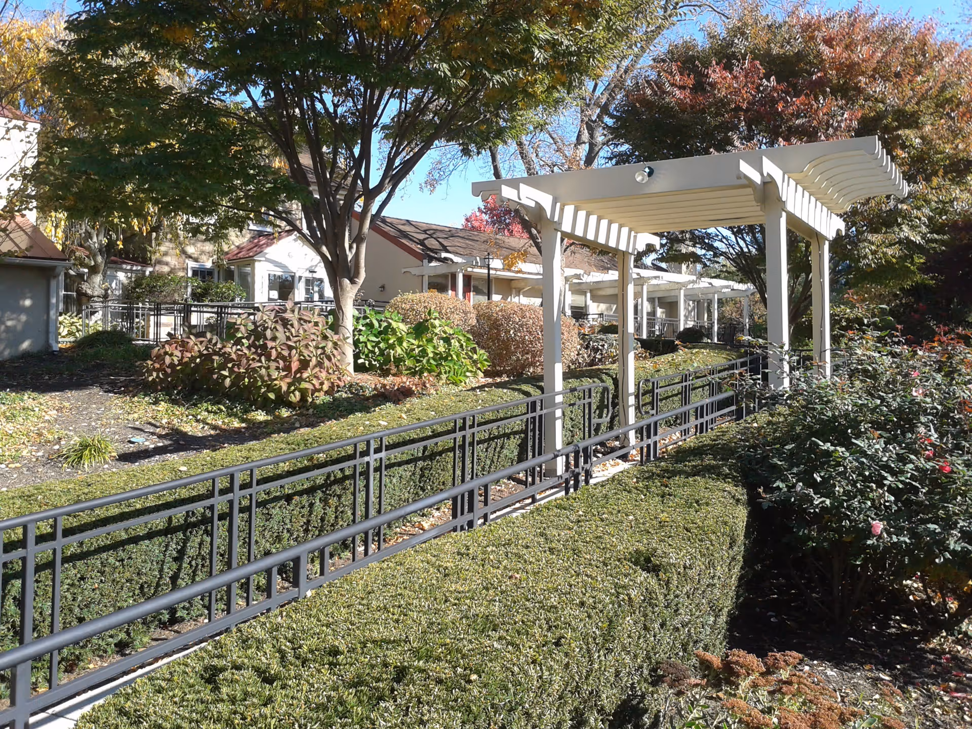 Outdoor garden area at Friends Village, Paxson Campus featuring a white pergola over a black metal handrail ramp surrounded by neatly trimmed hedges, bushes, and trees with autumn foliage under a clear blue sky.