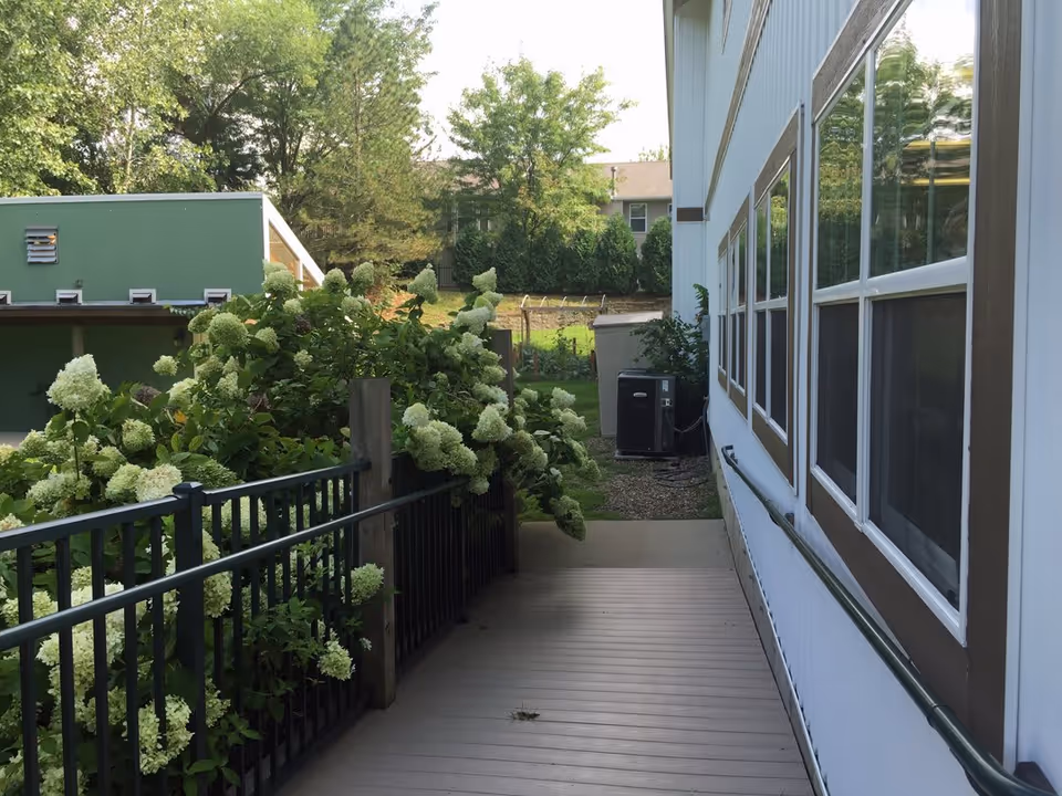 Side exterior walkway beside a building with windows, a handrail, and blooming hydrangea bushes.