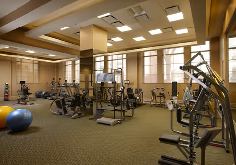 Sunlit, well-equipped fitness room with cardio and strength machines, exercise balls, and large windows.