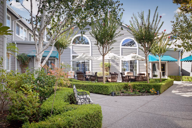 Outdoor courtyard area at Ivy Park at San Ramon featuring neatly trimmed hedges, small trees, patio tables with umbrellas, and cushioned chairs arranged for seating. The building exterior is light gray with large arched windows and teal awnings over doors.