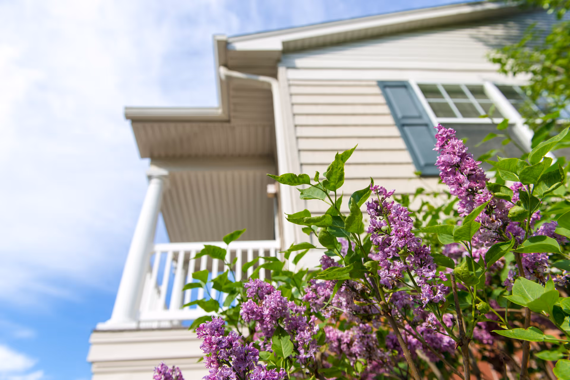 Close-up view of purple flowers and green leaves in front of a beige building with white trim, a white balcony railing, and a window with blue shutters under a partly cloudy sky.