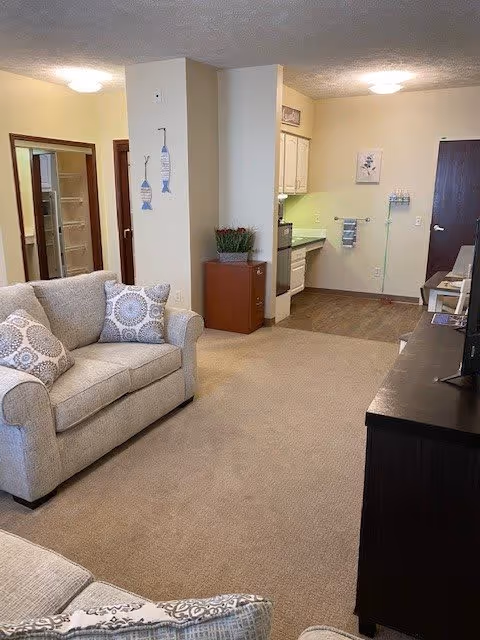 A cozy living area in a senior living facility featuring a beige couch with patterned pillows, a small wooden cabinet with a plant, and a kitchenette with white cabinets and appliances. The room has beige carpet and light-colored walls with simple wall decorations.